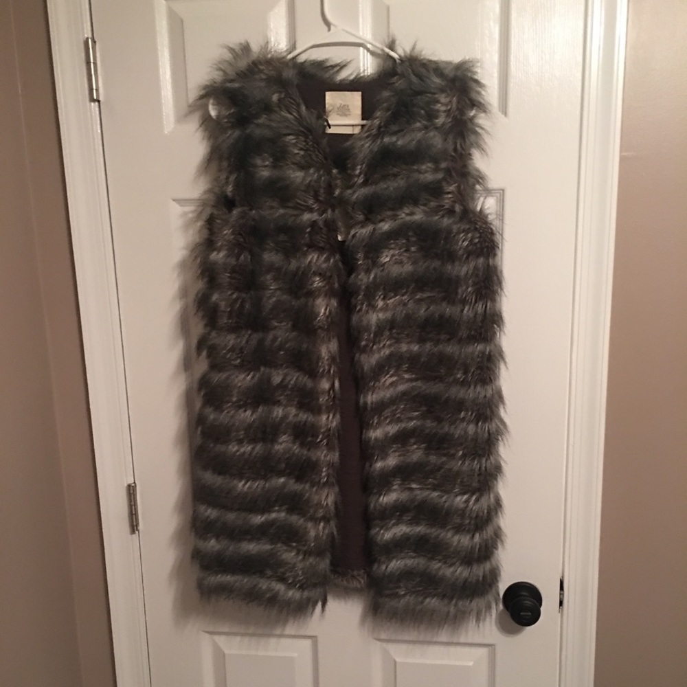 New Zara Faux fur knit vest